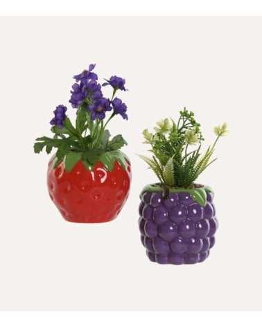 Planta Decorativa en Maceta de Fruta de Dolomita