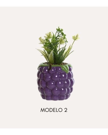 Planta Decorativa en Maceta de Fruta de Dolomita