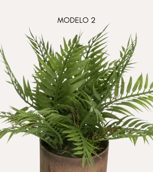 Planta Decorativa en Maceta con Acabado de Madera