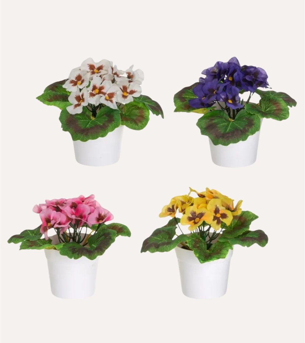 Flores Decorativas Pensamiento en Maceta