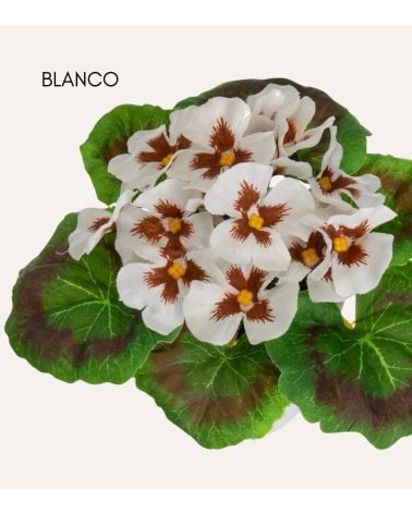 Flores Decorativas Pensamiento en Maceta