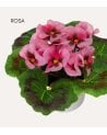 Flores Decorativas Pensamiento en Maceta