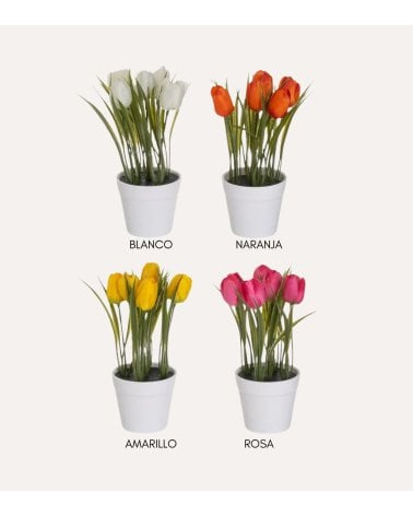 Tulipanes Decorativos en Maceta