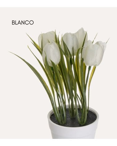 Tulipanes Decorativos en Maceta