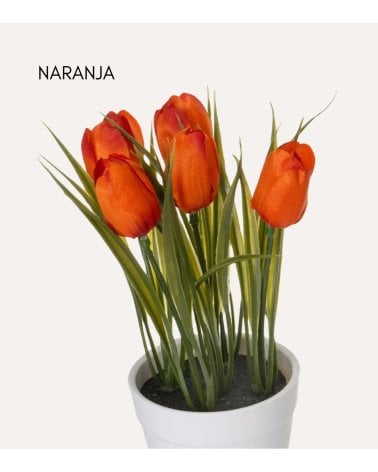 Tulipanes Decorativos en Maceta