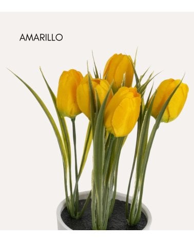 Tulipanes Decorativos en Maceta