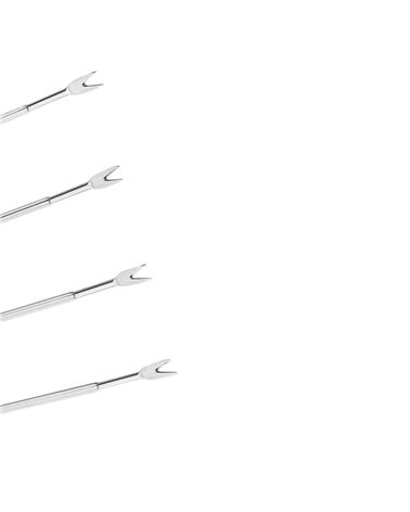 Set 4 Pinchos para Marisco de Acero Inoxidable