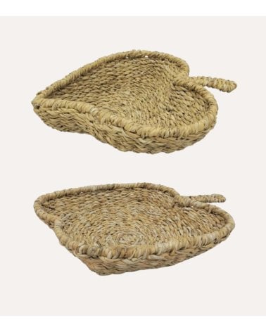 Centro de Mesa Seagrass en Forma Fruta