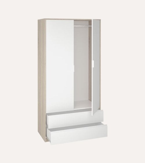 Armario con 2 Puertas y 2 Cajones