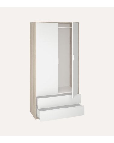 Armario con 2 Puertas y 2 Cajones