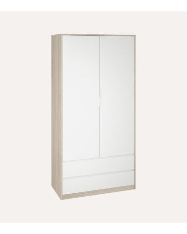Armario con 2 Puertas y 2 Cajones
