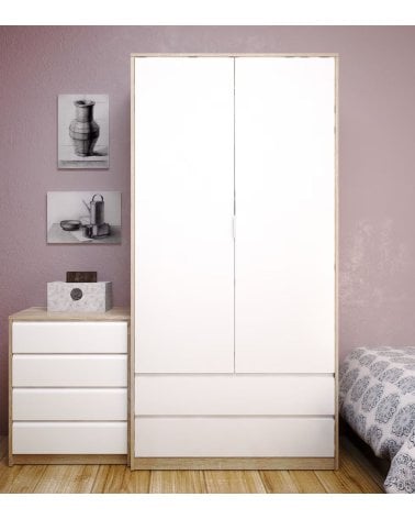 Armario con 2 Puertas y 2 Cajones