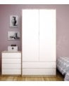 Armario con 2 Puertas y 2 Cajones