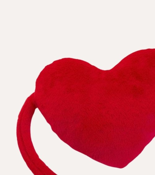 Cojín de Corazón con Brazos Largos