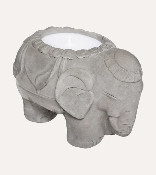 Vela de Cintronela en Elefante de Cemento