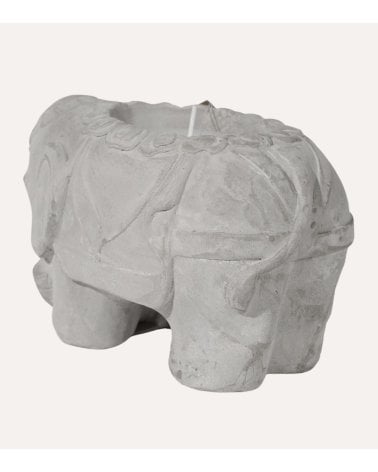 Vela de Cintronela en Elefante de Cemento