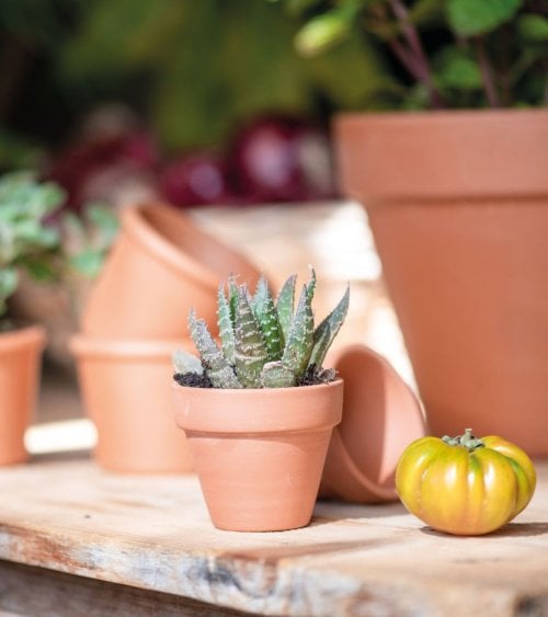 Maceta Redonda de Barro Rojo