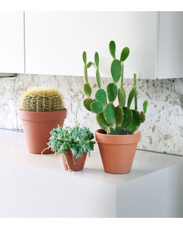 Maceta Redonda de Barro Rojo