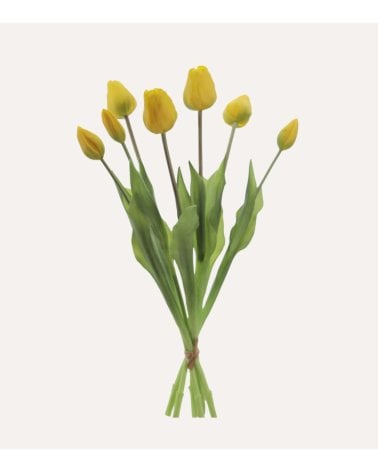 Ramo de Tulipanes Atado de Silicona