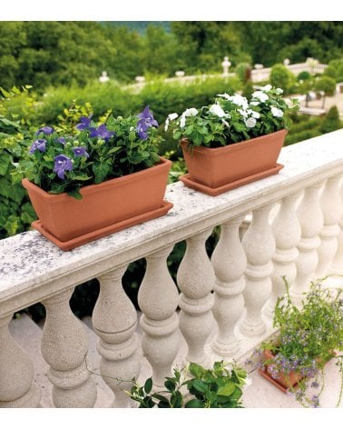 Jardinera Rectángular Roma de Barro de Terracota