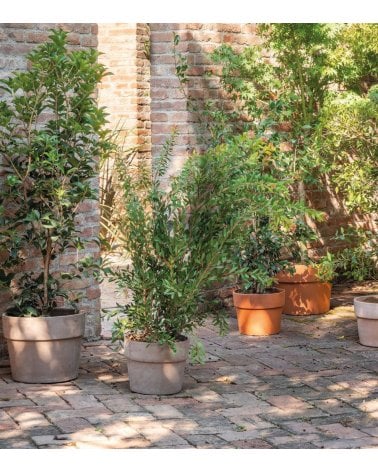 Maceta Perfetto de Barro de Terracota