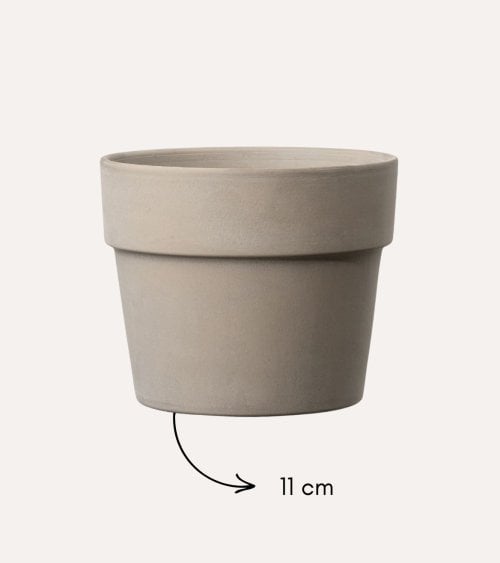 Maceta Perfetto de Barro de Terracota