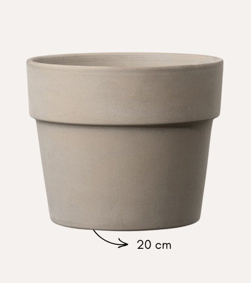 Maceta Perfetto de Barro de Terracota