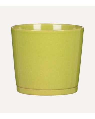 Maceta Avocado de Cerámica