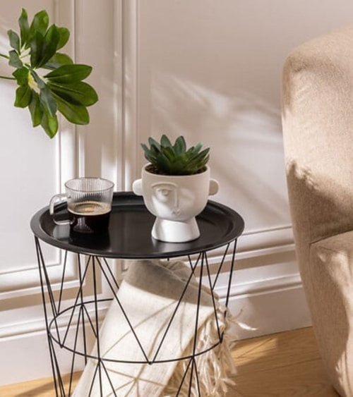 Maceta con Planta Dusty