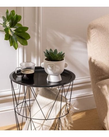 Maceta con Planta Dusty