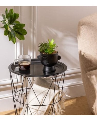 Maceta con Planta Dusty