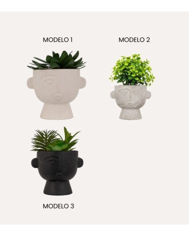 Maceta con Planta Dusty