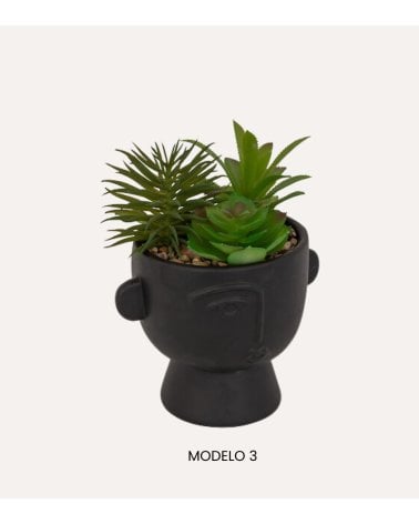 Maceta con Planta Dusty