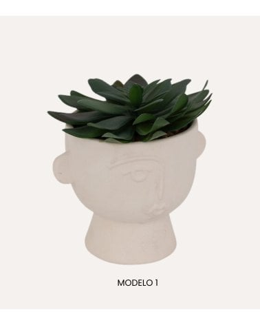 Maceta con Planta Dusty