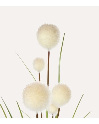 Ramo de Juncos Decorativos