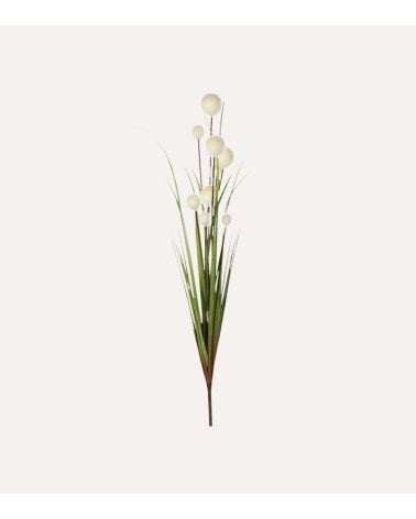 Ramo de Juncos Decorativos