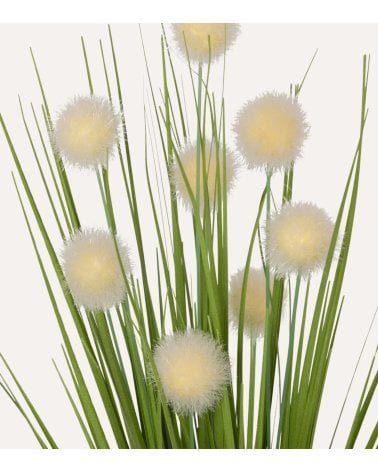 Planta Decorativa Laria en Maceta de Yute