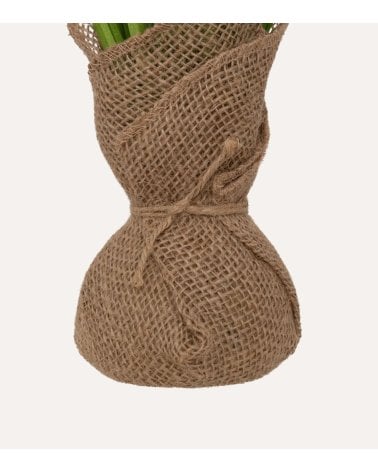 Planta Decorativa Laria en Maceta de Yute