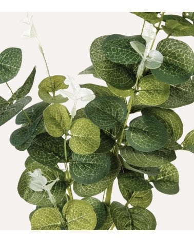 Rama de Eucalipto Decorativa