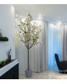 Planta Decorativa Almendro