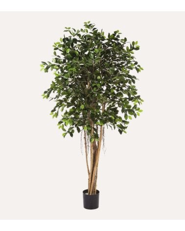Mini Árbol Decorativo Ficus de Aspecto Realista