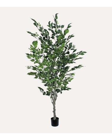 Árbol Benjamina Decorativo con Aspecto Realista