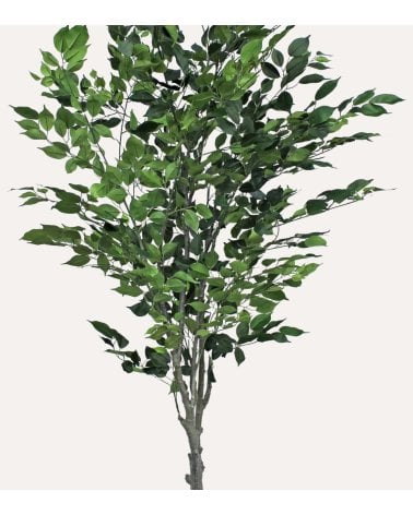 Árbol Benjamina Decorativo con Aspecto Realista