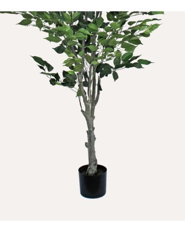 Árbol Benjamina Decorativo con Aspecto Realista