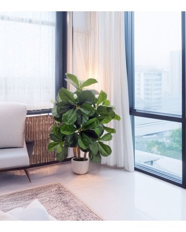 Árbol Lyrata Decorativo con Aspecto Realista