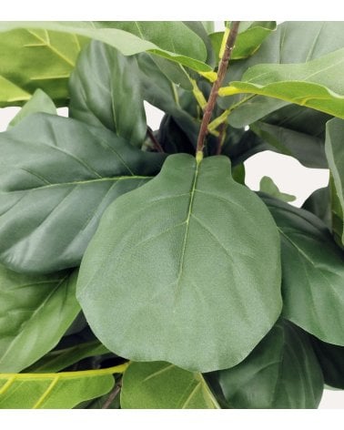 Árbol Lyrata Decorativo con Aspecto Realista