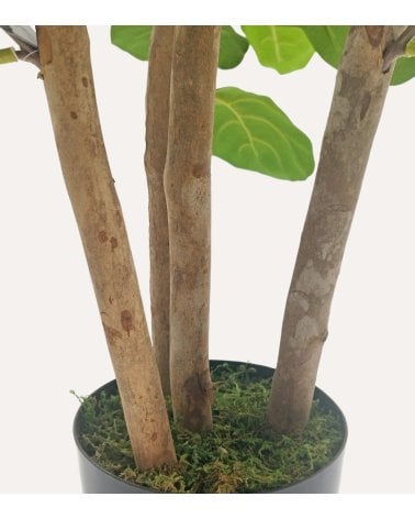 Árbol Lyrata Decorativo con Aspecto Realista