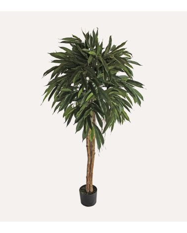 Tronco Longfolia Decorativo de Aspecto Realista