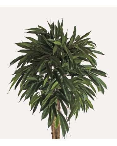Tronco Longfolia Decorativo de Aspecto Realista