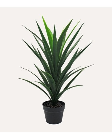 Planta Yuca Decorativa para Exterior con Aspecto Realista